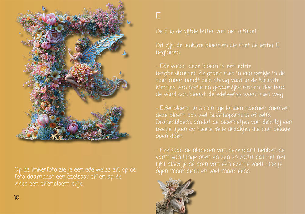voorleesboek elfjes