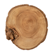 Organisch vloerkleed Tree Trunk met boomstam jaarringen als design vloerkleed in een moderne woonkamer