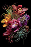 Tropische bloemen