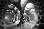 Tunnelvisie